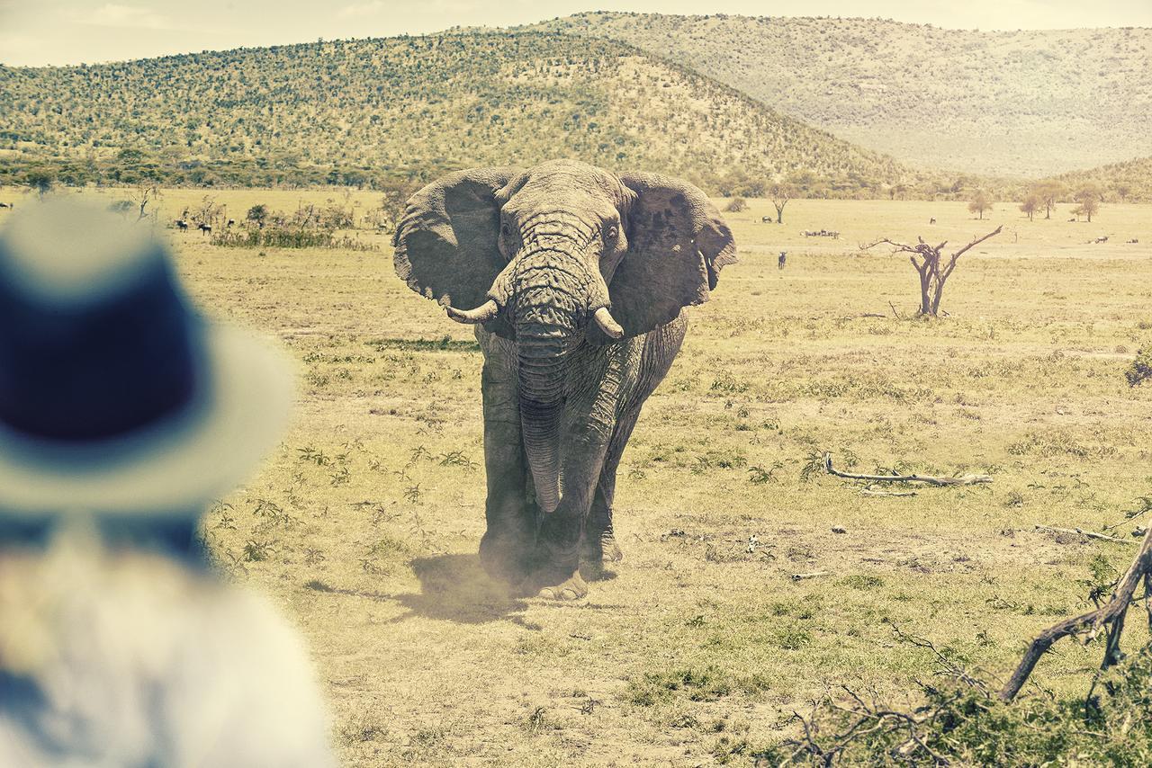 Olarro Plains Lodge *